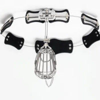Double horse, T-type Chastity lock, Adjustable Size Stainless Steel Male Chastity Belt, Chastity Device, Sex Toy, S094