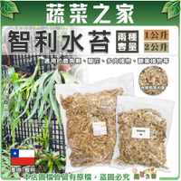 【蔬菜之家】智利水苔(1公升、2公升包裝) 5A水苔 精緻過篩 鹿角蕨 觀葉植物 水草 蘭花介質 苔球植物 角蛙 蘭科植物 高壓繁殖 爬蟲