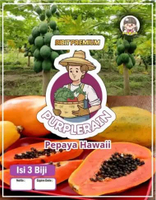 Bibit Premium Pepaya Hawai |Benih Pepaya Hawai| Pepaya Solo