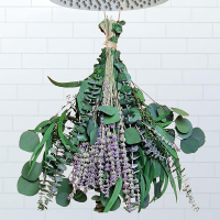 52 PCS Mix Dried Eucalyptus & Lavender Flowers Bundles for Shower 17 Natural Real Hanging Silver Dol