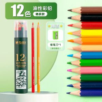 晨光文具 彩色鉛筆 12色24色36色48色油性彩鉛繪畫筆水溶性不易斷芯學生美術生-【初學專用】油性 12色/送卷筆刀 均碼-款式2
