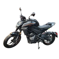 【CFMOTO】300NK(春風/黃牌擋車/機車/公司車)