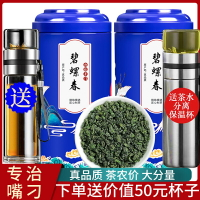 送水杯年新茶明前碧螺春綠茶特級高山濃香型茶葉散裝罐裝500g