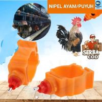nipel nempel ayam bebek puyuh alat minum