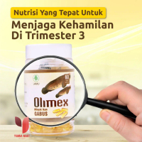 OLIMEX Minyak Ikan Gabus Original 60 Kapsul kapsul ikan gabus  ori