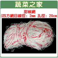 【蔬菜之家010-A07】甜椒網(四方網目線徑: 2mm 孔徑: 20cm )攀藤網.爬藤網