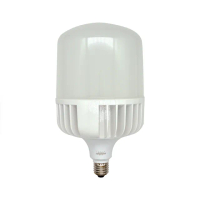 【NEWWIN】臺灣製 60W LED廣角型球泡燈(白光/-大型防水燈泡)