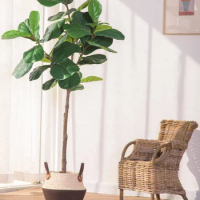 Nordic Simulation Ficus Lyrata Plant Pot Bionic Green Plant Fake Trees Indoor Floor Window Decorative Ornament