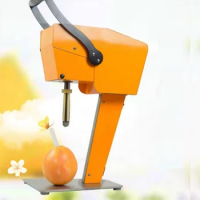 Commercial Electric Orange Juicer Extractor Machine Fresh Juice Blender Multifunction Fruit Juicing Machine