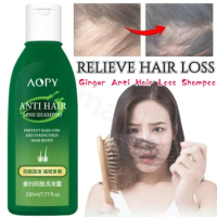 230g Ginger Anti-alopecia Shampoo Oil Control Nourishing Hair Tip Polygonum Multiflorum Composition Shampoo