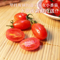 【鮮果日誌】玉女小番茄(6盒裝)