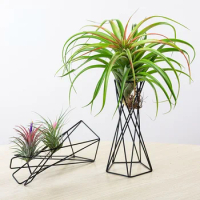 Nordic Style Air Plant Holder Metal Flower Pot Stand Geometric Iron Tillandsia Holder Table Home Garden Ornaments