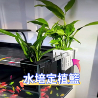 水培定植籃 定植杯 水草籃 水培盆 水培籃 水耕盆栽 水耕植物盆 魚菜共生 無土栽培 水耕栽培盆 水耕 培育魚苗 吊掛籃 置物籃 收納籃