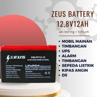 Aki Selis / Sepeda Super Rider Earth VRLA 12,8v 12Ah Zeus Lithium Outdoor