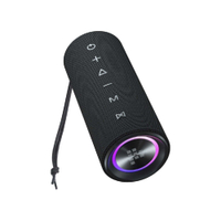 Tronsmart Mirtune C2 24W藍芽喇叭 輕巧攜帶藍芽音響 藍芽喇叭 無線音箱 重低音防水喇叭