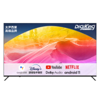 【DigiKing 數位新貴】藍芽語音GTV32吋安卓11艷色域智慧聯網液晶(DK-G32HM88)