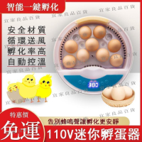 【宜家良品百貨】小型孵蛋機 迷你智能孵化器 雞鴨鵝鴿子孵化器 全自動小雞孵化器 9枚家用款孵蛋器 雞蛋鴨蛋鵝蛋孵化箱