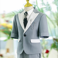 Flower Boys Suit Grey Piano Performance Violin Formal Tuxedo Children Stage Suits Kids Party Ceremony Costume School 2 Pieces