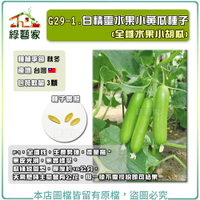 【綠藝家】G29-1.白精靈水果小黃瓜種子3顆(全雌水果小胡瓜)