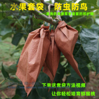 獼猴桃套袋黃心通用水果奇異果袋 防水 防蟲防鳥帶鐵絲單層打蠟