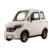 Electric Vehicle Mobility Cabin Scooter 4 Wheeled Closed Car 3 Seats EEC COC L6e Low Speed Mini Electric Urban Car For Older