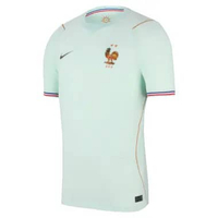 NIKE Men Soccer France Stadium Away Dri-Fit Jersey Pakaian Sepakbola Pria [IB5367-394] A/L IGLOO/MON