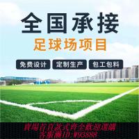 人造草皮 足球場人造草坪 人工草坪足球場施工 操場草坪
