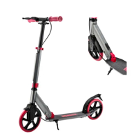 High Quality Push Foot Kick Scooter for Sale Two Big Wheel Wide Deck Customized Color Pedal Kick Scooter for adult