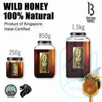 13 Honey Wild Honey| 100% Natural Honey| Pure Honey Organic Honey Raw Honey| Manuka Honey UMF 15
