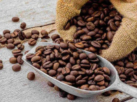 Kopi Lanang Premium Arabika – Rasa Kuat, Tebal & Aroma Khas Nusantra Kopi Asli Garut