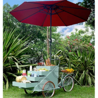 New Business Night Market Carts Party Bike Vending Tricycle With Umbrella For Fruit/Food/Bread/Books/Drinks