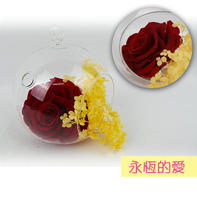 永生花禮盒組-永恆，大地農園/情人節金莎花束/頒獎/畢業花束/畢業典禮/情人節禮物/送禮/捧花/節慶/婚禮小物/生日禮物/交換禮物/告白/求婚，X射線【Y162001】