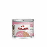 FHN 離乳貓及母貓營養主食罐 195g - ROYAL CANIN 貓罐頭【BB02】