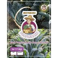 Bibit Premium Kale Nero Lacinato | Benih Kale Unggul