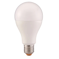 【寶島之光】LED節能燈泡16W(E27)