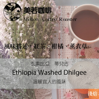 衣索比亞 咖啡豆 耶加雪菲 蒂兒吉 (30克、半磅)水洗處理法 淺焙。紅茶、柑橘、薰衣草【美若咖啡烘焙 】