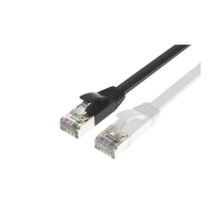 【POLYWELL】CAT6A 高速網路扁線 /10M