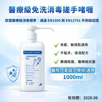 【2瓶】醫療級消毒酒精搓手啫喱Chemisept Gel 1000ml |WHO推薦80%乙醇配方｜欧洲医疗品牌｜皮膚敏感人士適用｜含维生素B5和甜菜碱保湿成分#抗菌免洗搓手液 免洗洗手液 殺菌抑菌