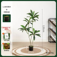 模擬綠植物盆栽天鵝絨巴西木高階輕奢北歐風室內客廳落地裝飾擺件