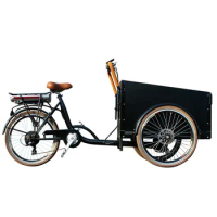 3 wheel family high quality cargo tricycle 250W motor electric adult bike cargo bike