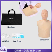 COD-CPR Manikin Phantom CPR Manekin CPR Prestan Manekin Setengah Badan Alat Pelatihan Pertolongan Pe