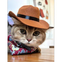 Cool Pet Hat Cat Puppy Dog Hat Headwear Western Cowboy Busy Photography Nomi Mini Cowboy Hat for Pets