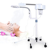 3 in1 UV Ozone Mist Facial Steamer LED Lamp Personal Home Salon Spa Skin Cleaning Professional Hot &amp; Cool Cold Face Steamer