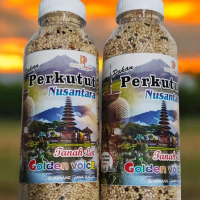 pakan perkutut nusantara golden voice