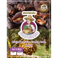 Bibit Premium Buah Kurma Arab Nakhl |Biji Benih Pohon Kurma Manis|Bibit Kurma