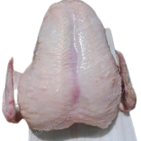 Daging Ayam Broiler Dadanya Aja Segar Utuh Frozen Dengan Tulang Dan Kulit