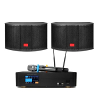 10 Inch Professional Karaoke Speaker + 250W Professional Karaoke Amplifier Set