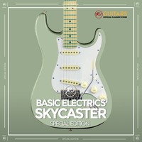 RJ Basic Electrics- Skycaster Electric Guitar Special Edition with Bag, Cable, Strap (Stratocaster)