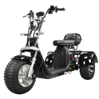 Hot Selling Warehouse Adult Three Wheel Bicycle Lithium Battery 60V 20Ah 1500w 2000w Tricycle 3 Wheel Electric Scooter Citycoco
