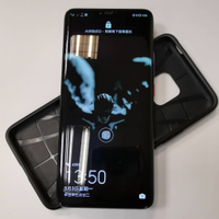 ✌️二手✌️華為 HUAWEI MATE 20 PRO 極光色
